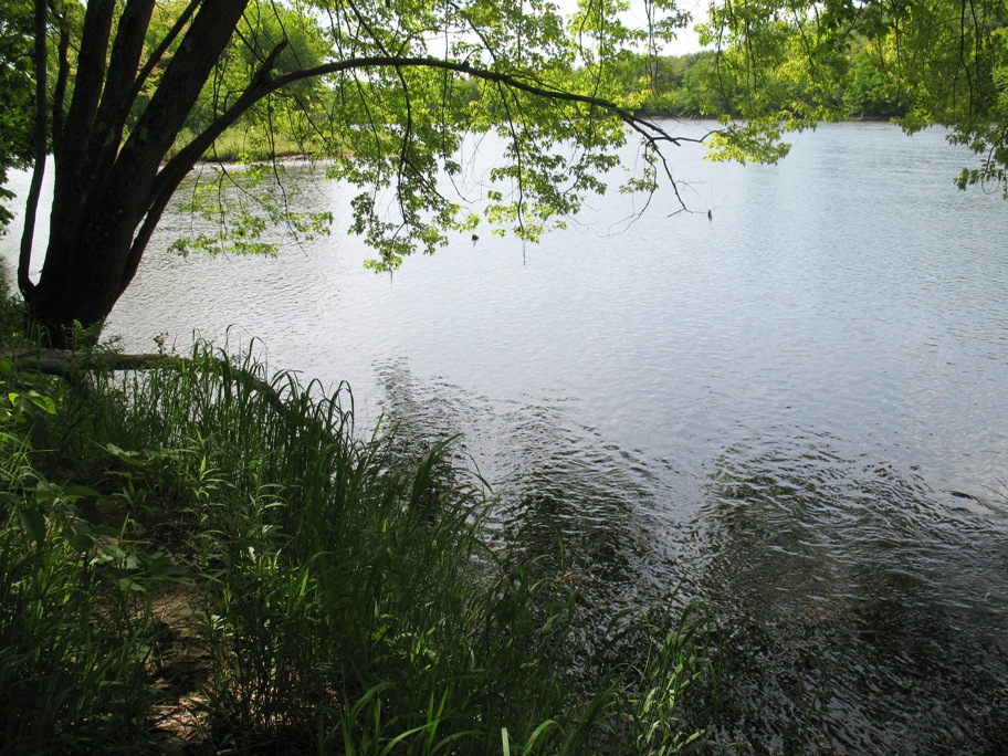 IMG_5243-Androscoggin_River.JPG